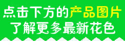 最新样本点击查看